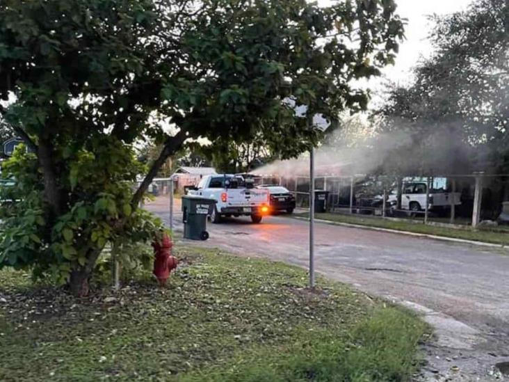 Acciones de fumigación en los espacios abiertos Acciones de fumigación en los espacios abiertos