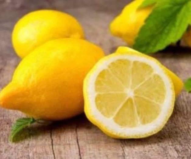 Caerá 40% cosecha de limón; exportación a EU no se verá afectada Caerá 40% cosecha de limón; exportación a EU no se verá afectada