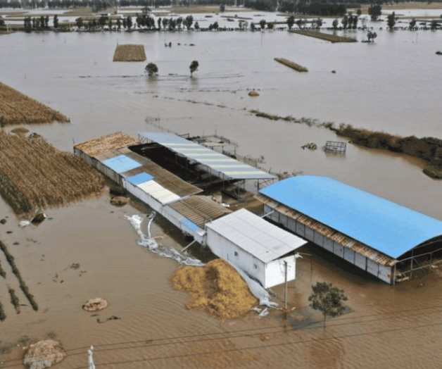 Al menos 29 muertos por inundaciones en el norte de China