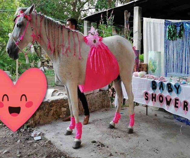 Hacen baby shower a una yegua en Yucatán