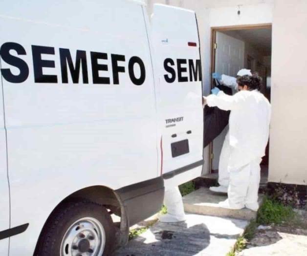 Aparece persona ahorcada en árbol Aparece persona ahorcada en árbol