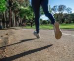 Colocan programas virtuales de entrenamiento en parques