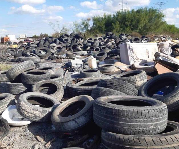 Sufren una pesadilla