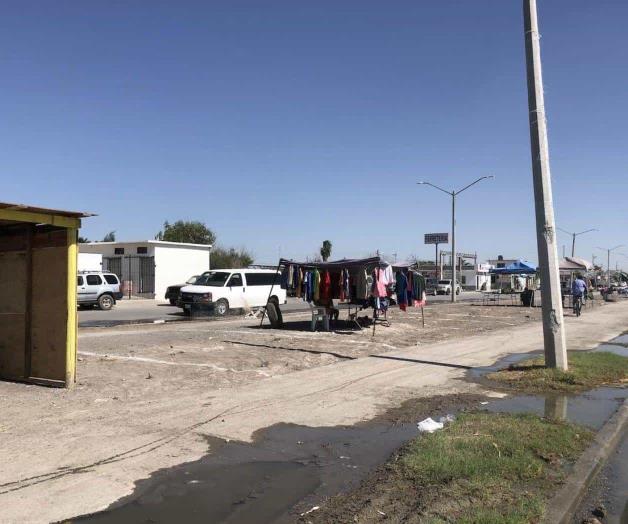 Invade vendimia camellón