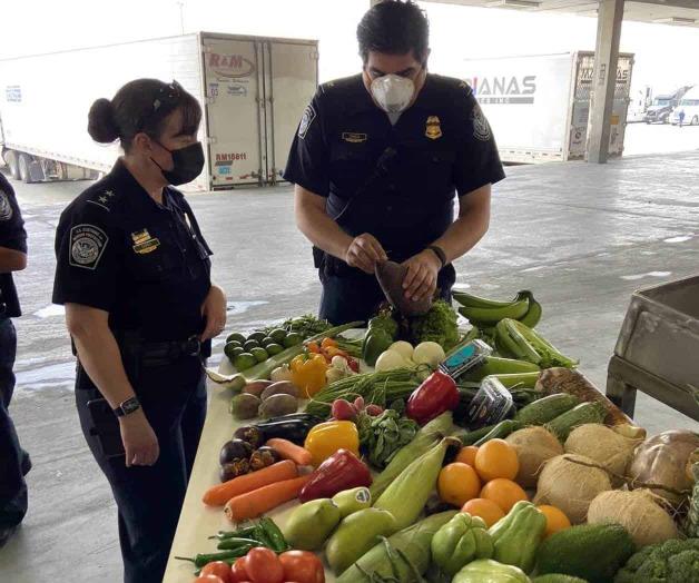 Prohíbe Estados Unidos introducir cítricos mexicanos para prevenir plagas y enfermedades