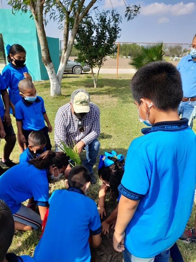 Paran erosión con reforestar