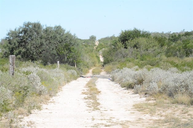 Aparece semisepultado