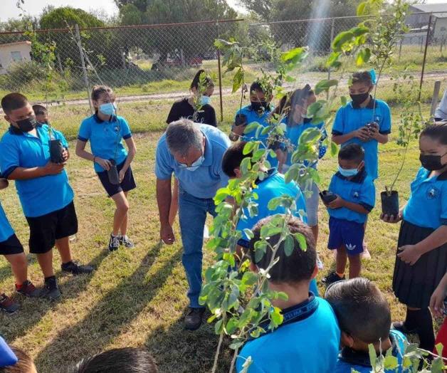 Paran erosión con reforestar