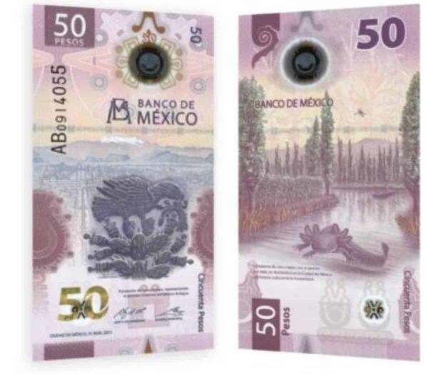Lanzan un nuevo billete de 50 pesos