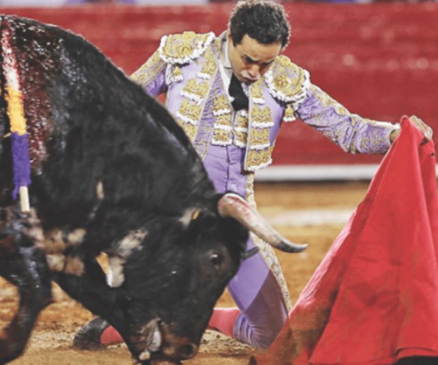 ¡La fiesta brava está muy viva!