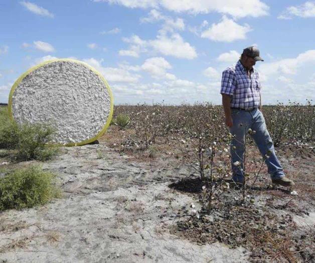 Crece la demanda de agua; colapsan redes de distribución