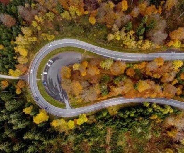 En COP26, más de 100 países prometen fin de la deforestación