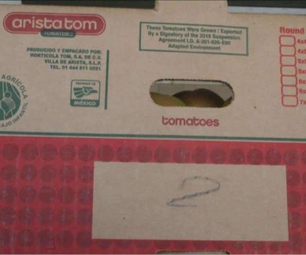 Intercepta la Aduana cargamento de tomates