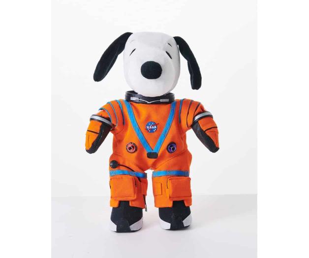 Al espacio en misión de la NASA en 2022 Al espacio en misión de la NASA en 2022