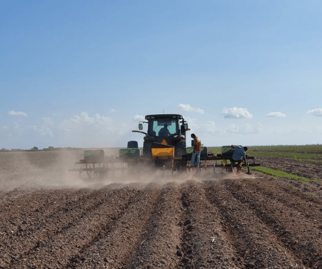 Pese a falta de apoyos, fertilizan tierras de cultivo