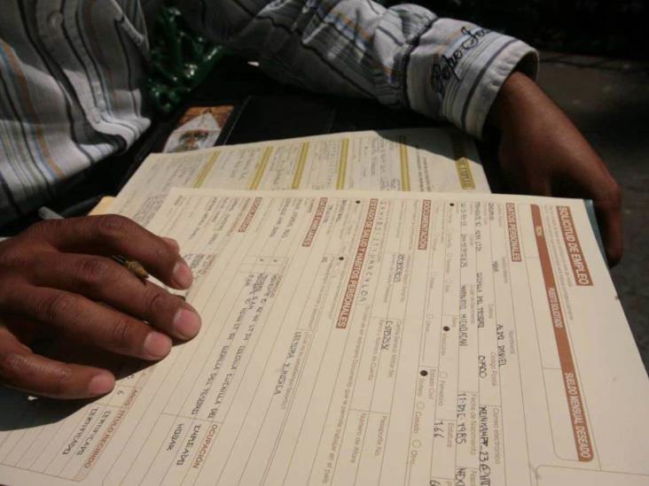 Calculan en 800 mil los empleos de 2021 Calculan en 800 mil los empleos de 2021