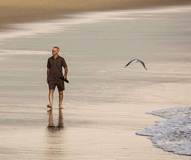 El hombre y la gaviota
