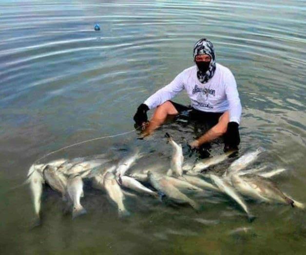 Comienza a repuntar la captura de “Trucha”