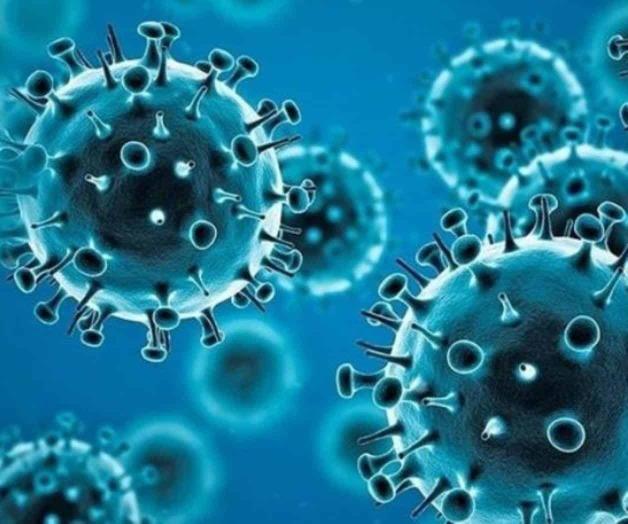 Discuten en la OMS tratado para futuras pandemias, México se muestra reacio a que sea vinculante