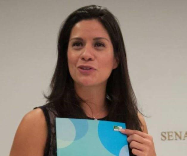 Preocupa dañen a la democracia