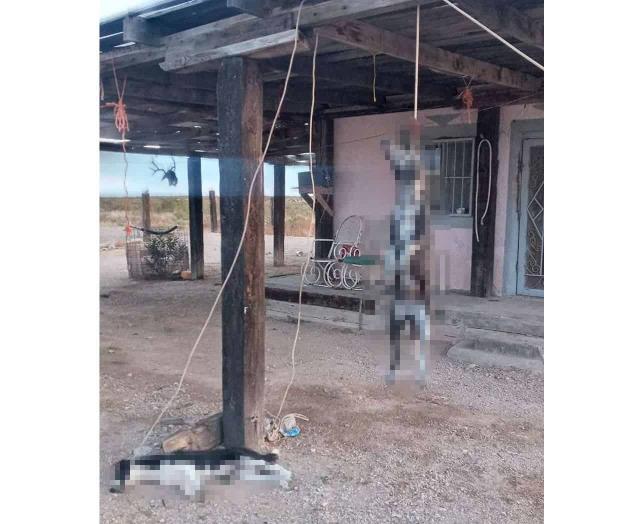 Piden justicia para perros ahorcados