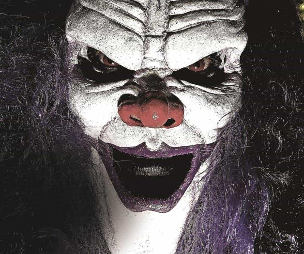 ¡DMT Azul conocerá el dolor!