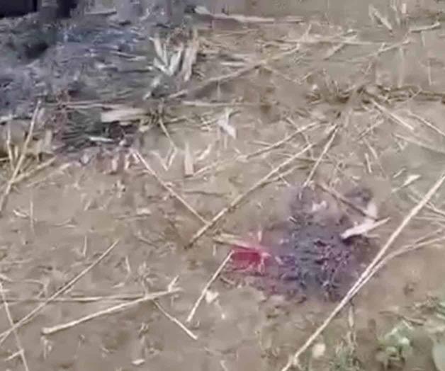 Tropas de Myanmar queman vivas a once