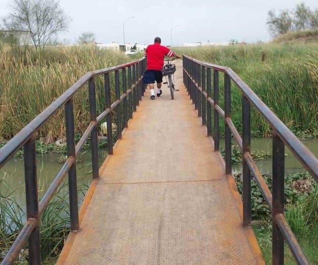 Exhortan a proteger a Typha domingensis Exhortan a proteger a Typha domingensis