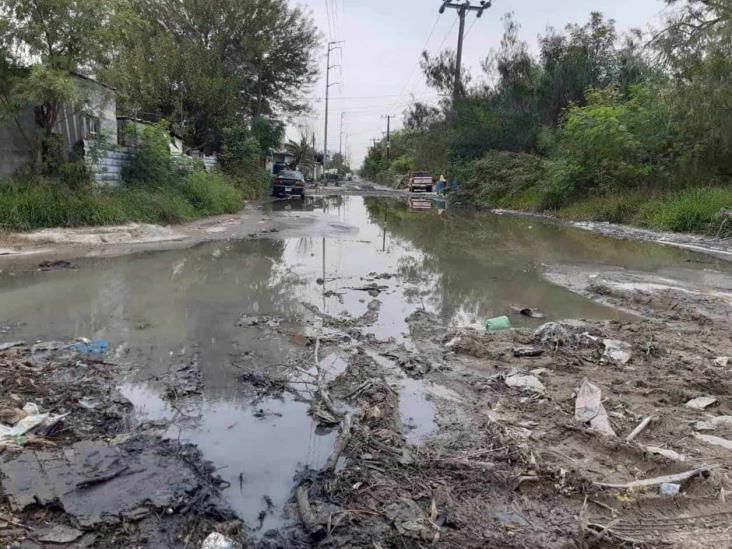 Padecen familias laguna pestilente Padecen familias laguna pestilente