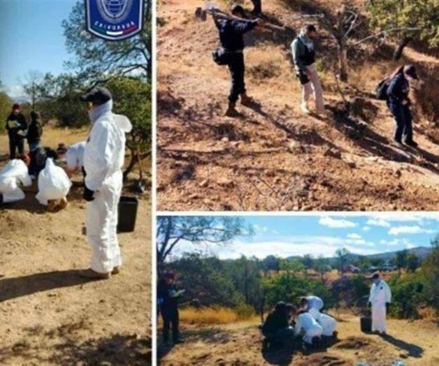 Aseguran 2,424 fragmentos óseos en rancho en Chihuahua