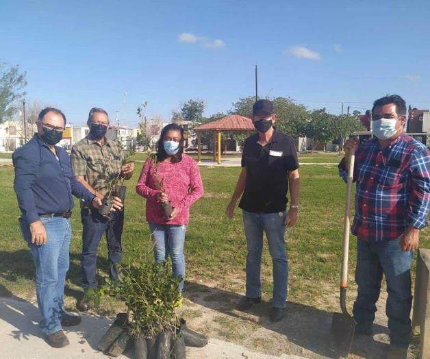 Reforesta Gobierno de Río Bravo, las Praderas del Sol Reforesta Gobierno de Río Bravo, las Praderas del Sol