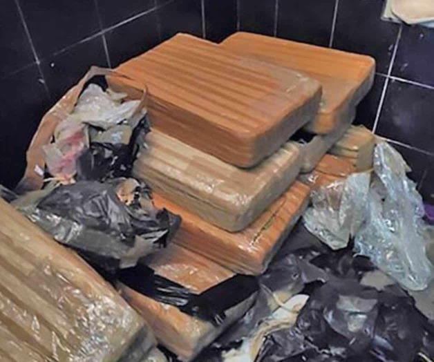 Caen más de 560 libras de marihuana