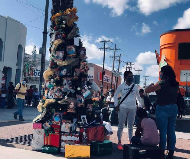 Encenderán el pino de la ‘Esperanza’