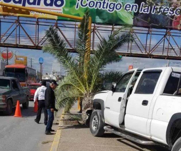 Choca su camioneta contra una palma