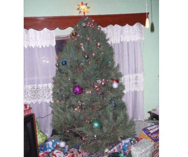 Precauciones con árboles navideños