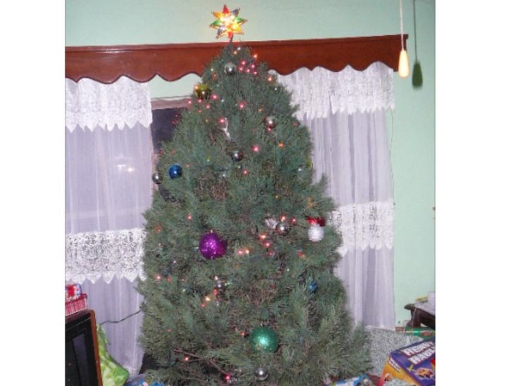Precauciones con árboles navideños Precauciones con árboles navideños