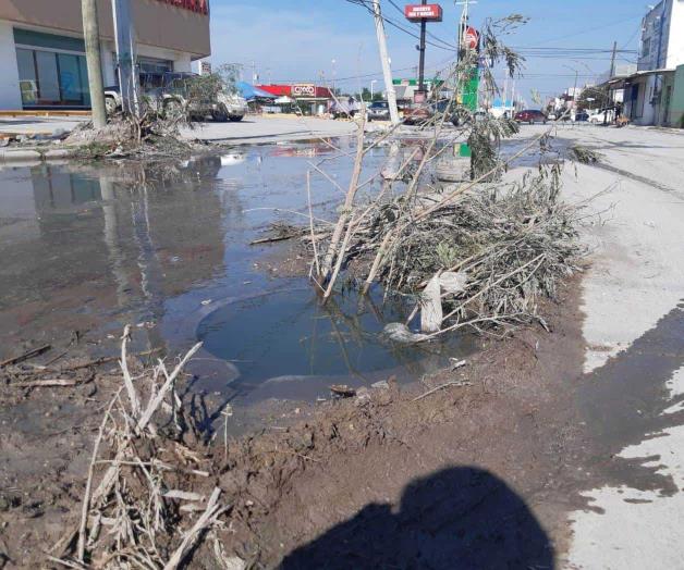 Con ramas alertan sobre alcantarilla