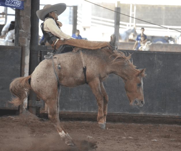 Tamaulipecos retomarán actividades hasta febrero