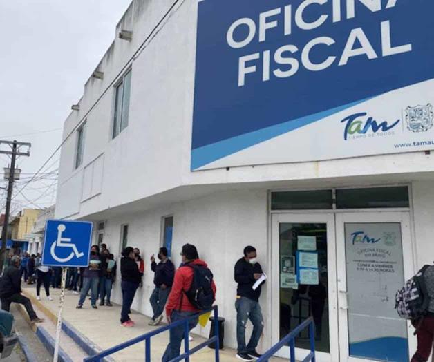 Tramitan hasta 350 licencias semanales