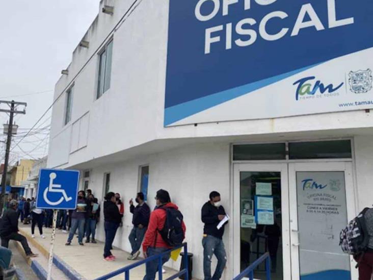 Tramitan hasta 350 licencias semanales Tramitan hasta 350 licencias semanales