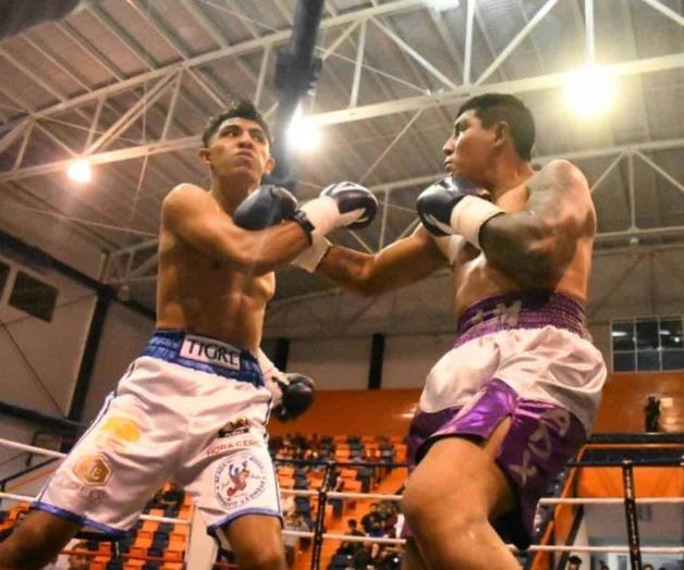 Aprueban iniciativa en pro del boxeo