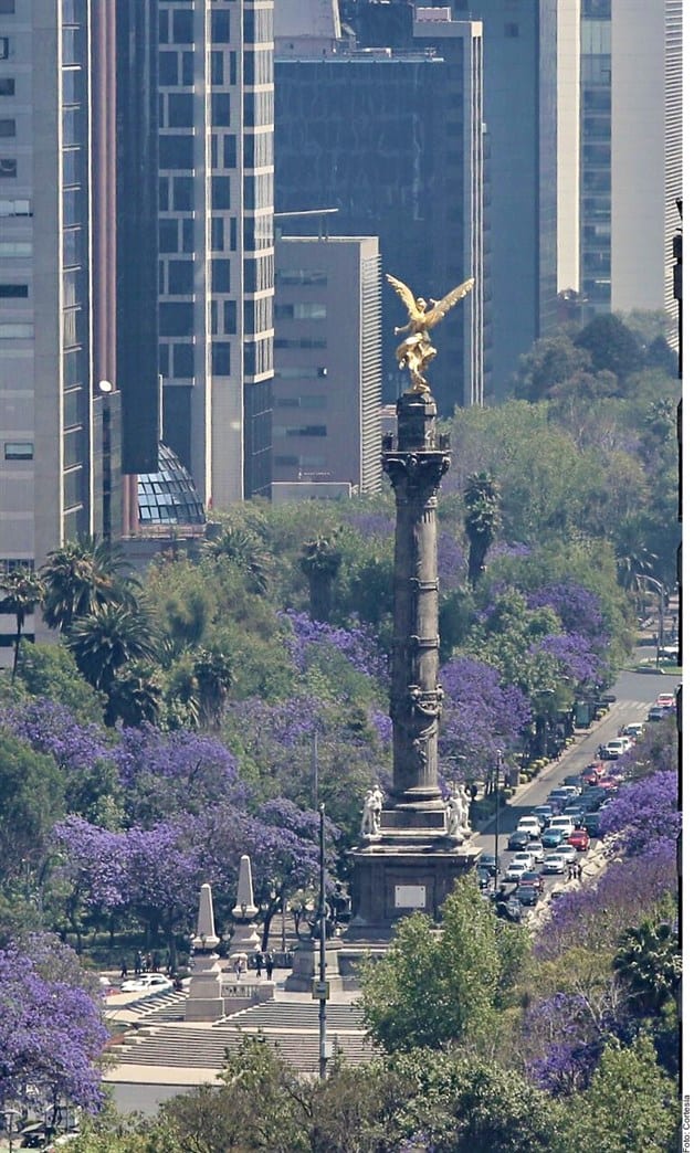 12 motivos para empacar