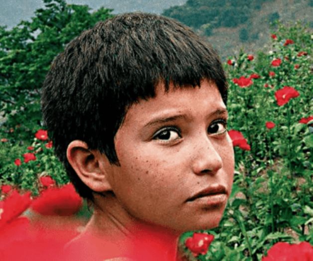 Cinebalance Cinebalance