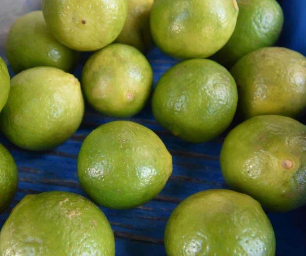 Prevén pronto abasto de limón