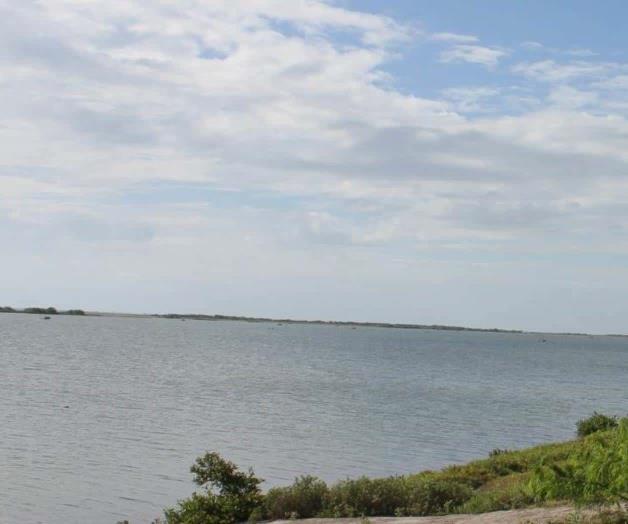 Pesca furtiva acaba con la comercial