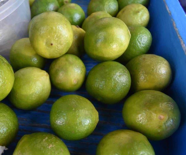 Recomiendan sustituir limón caro por ‘Polvo’