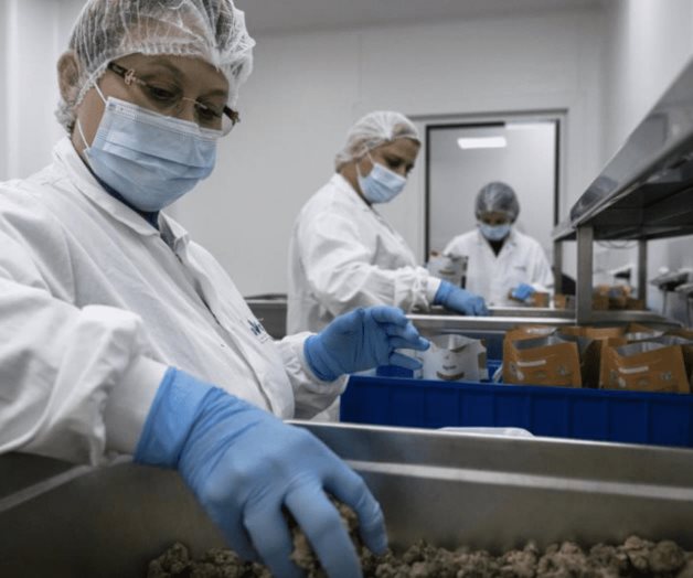 Exgobernantes israelíes impulsan marihuana medicinal Exgobernantes israelíes impulsan marihuana medicinal