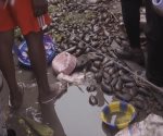 Mata un cable de alto voltaje a 26 personas