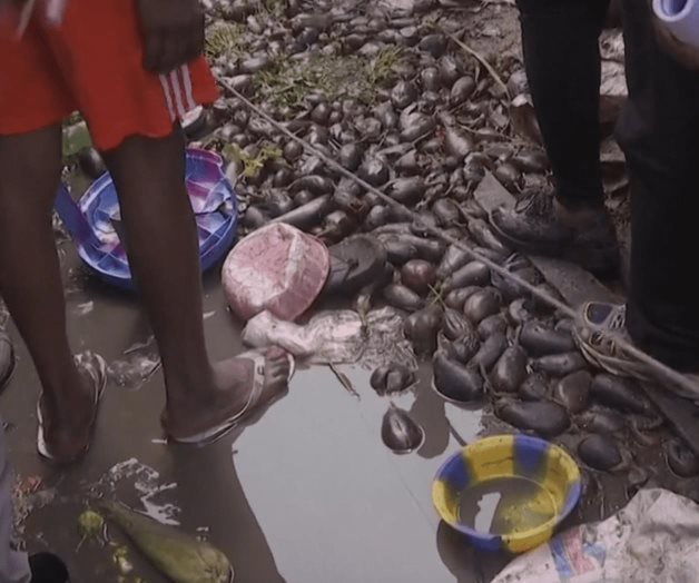 Mata un cable de alto voltaje a 26 personas