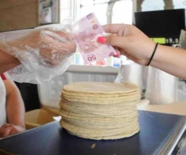 Aumentó 20 por ciento el consumo de tortillas